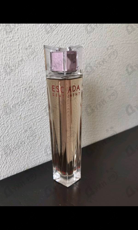Купить Sentiment от Escada