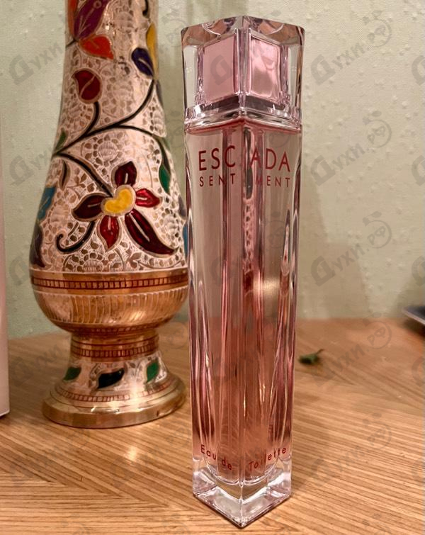Духи Sentiment от Escada Парфюмерия Escada Sentiment