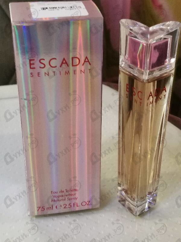 Парфюмерия Sentiment от Escada