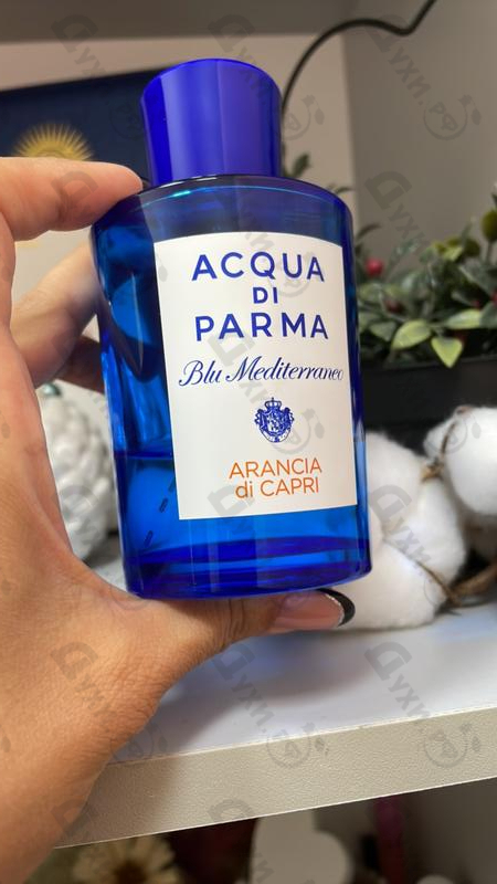 Купить Blu Mediterraneo - Arancia Di Capri от Acqua Di Parma