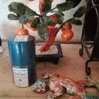Отзывы Acqua Di Parma Blu Mediterraneo - Arancia Di Capri