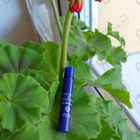 Отзыв Acqua Di Parma Blu Mediterraneo - Arancia Di Capri