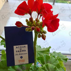 Отзыв Acqua Di Parma Blu Mediterraneo - Arancia Di Capri