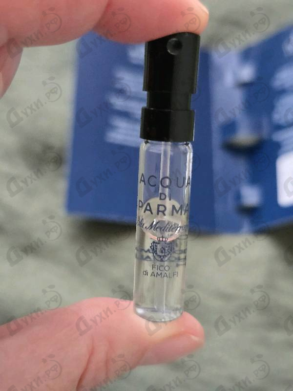 Отзывы Acqua Di Parma Blu Mediterraneo - Fico Di Amalfi