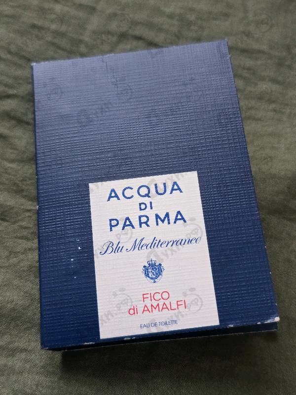 Парфюмерия Blu Mediterraneo - Fico Di Amalfi от Acqua Di Parma