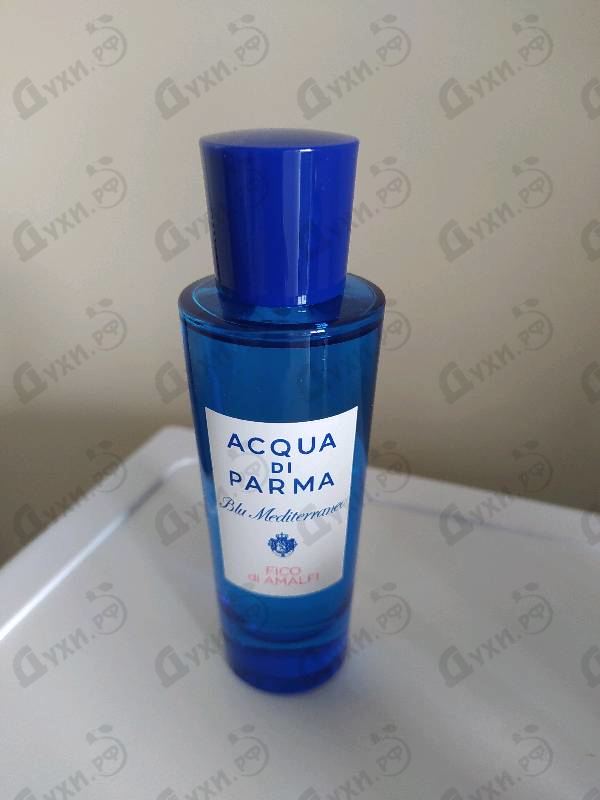 Купить Blu Mediterraneo - Fico Di Amalfi от Acqua Di Parma