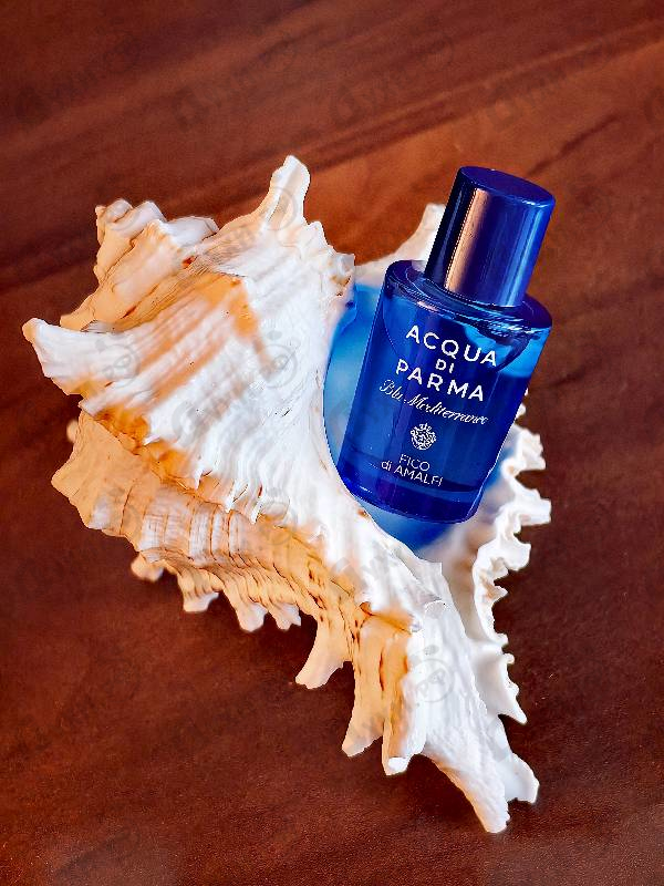 Купить Acqua Di Parma Blu Mediterraneo - Fico Di Amalfi