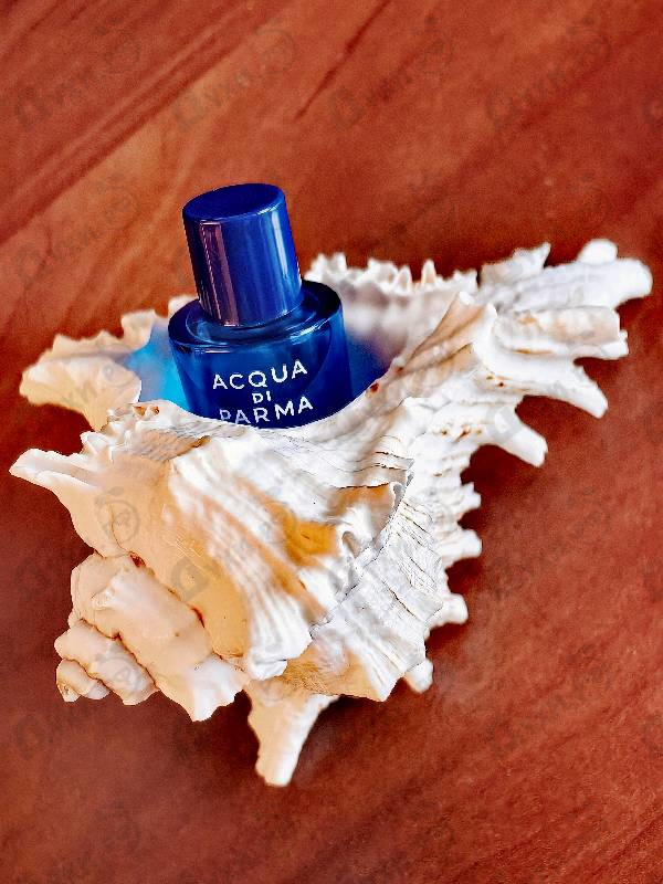 Духи Blu Mediterraneo - Fico Di Amalfi от Acqua Di Parma