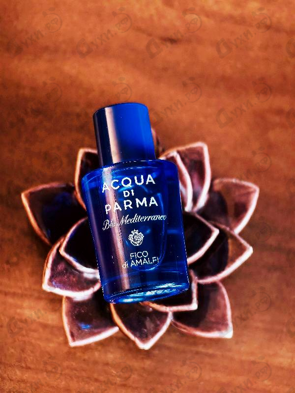 Купить Acqua Di Parma Blu Mediterraneo - Fico Di Amalfi