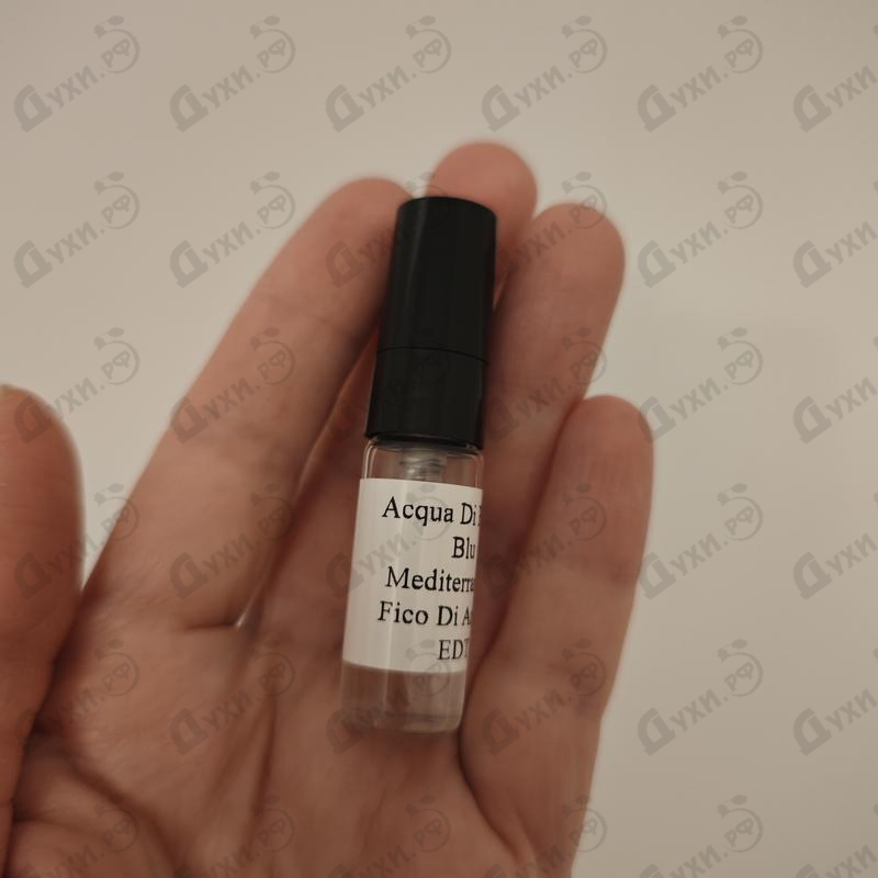 Духи Blu Mediterraneo - Fico Di Amalfi от Acqua Di Parma