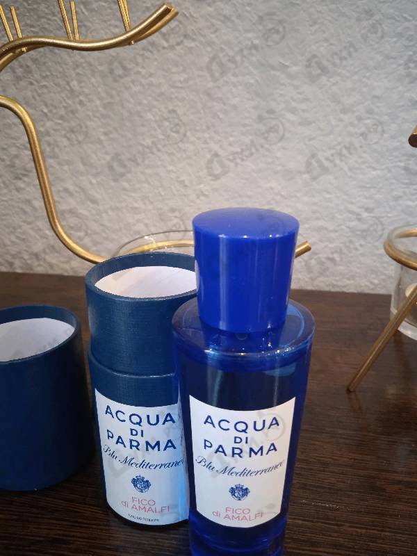 Купить Blu Mediterraneo - Fico Di Amalfi от Acqua Di Parma