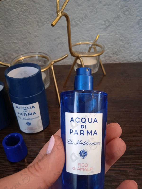 Отзывы Acqua Di Parma Blu Mediterraneo - Fico Di Amalfi