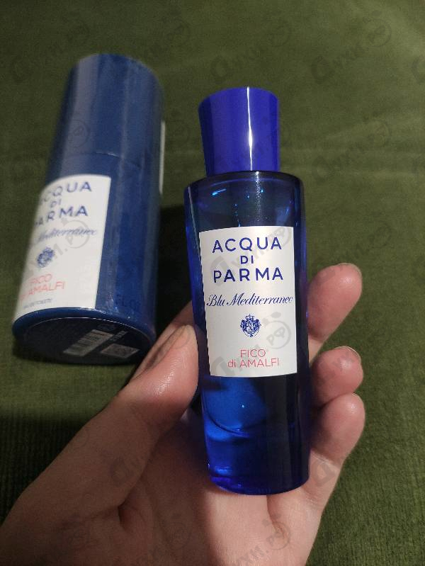 Купить Blu Mediterraneo - Fico Di Amalfi от Acqua Di Parma