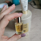 Парфюм Acqua Di Parma Magnolia Nobile