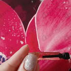 Духи L'agent от Agent Provocateur