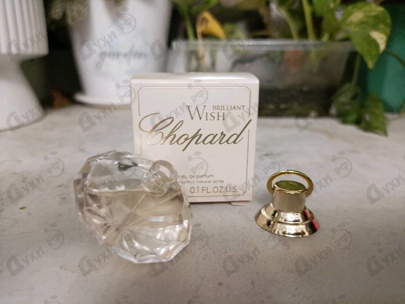 Купить Brilliant Wish от Chopard