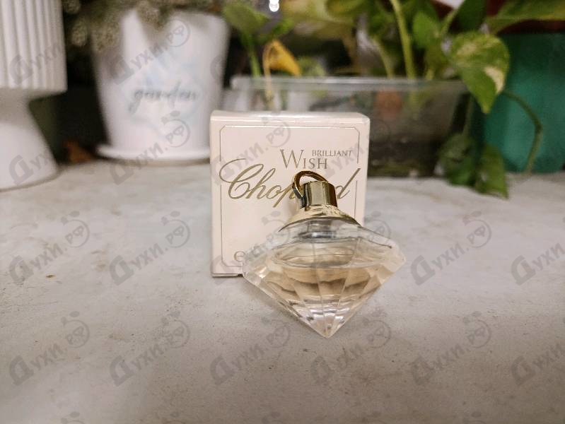 Парфюмерия Brilliant Wish от Chopard