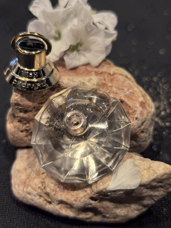 Парфюмерия Brilliant Wish от Chopard