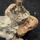 Отзыв Chopard Brilliant Wish