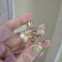 Парфюмерия Chopard Brilliant Wish