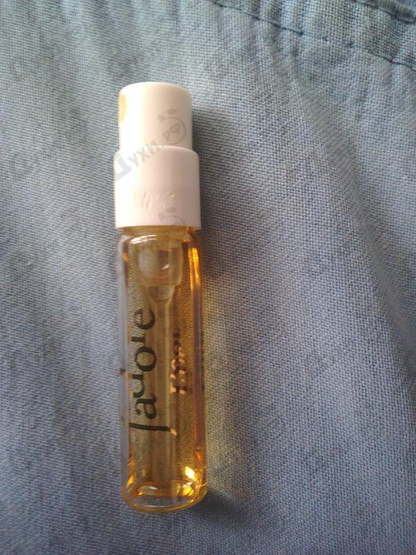 Отзывы Christian Dior Jadore L'Or Купить Jadore L'Or от Christian Dior