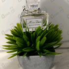 Отзывы Christian Dior Miss Dior Blooming Bouquet