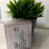 Парфюмерия Miss Dior Blooming Bouquet от Christian Dior Отзыв Christian Dior Miss Dior Blooming Bouquet