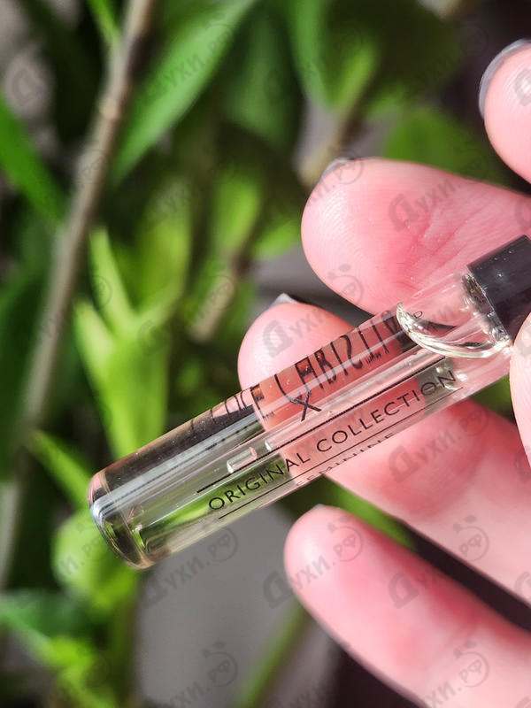 Отзыв Clive Christian X