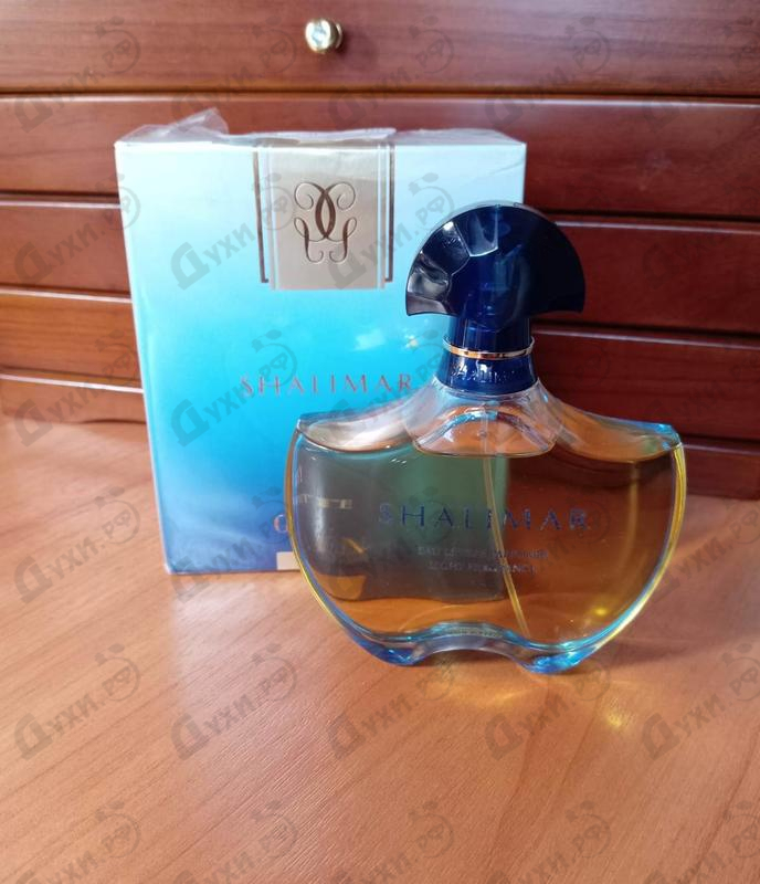 Купить Guerlain Shalimar Legere
