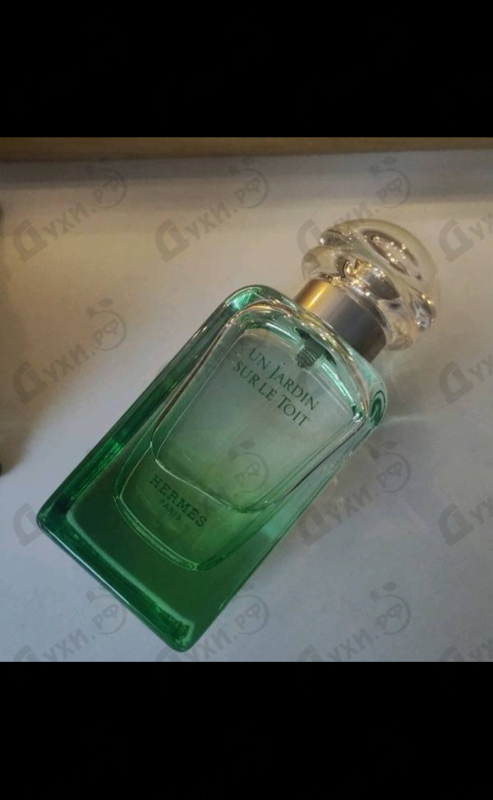 Купить Un Jardin Sur Le Toit от Hermes Отзыв Hermes Un Jardin Sur Le Toit