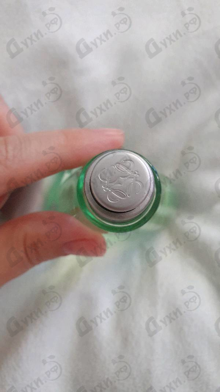 Духи Loewe Agua De Loewe Mediterraneo Купить Agua De Loewe Mediterraneo от Loewe