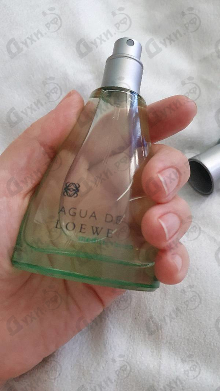 Купить Agua De Loewe Mediterraneo от Loewe Купить Loewe Agua De Loewe Mediterraneo