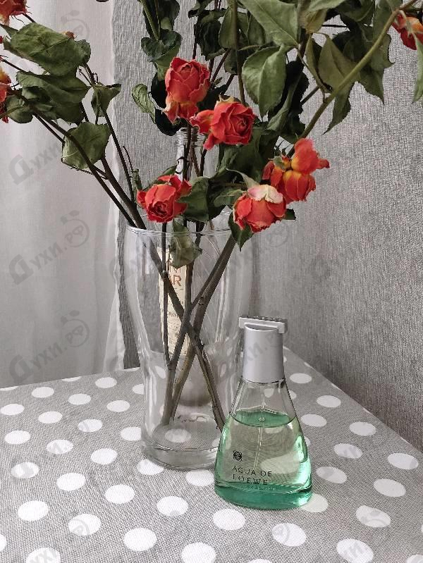 Отзыв Loewe Agua De Loewe Mediterraneo Купить Agua De Loewe Mediterraneo от Loewe