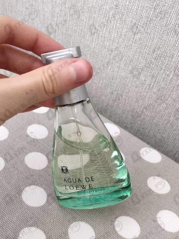 Купить Loewe Agua De Loewe Mediterraneo