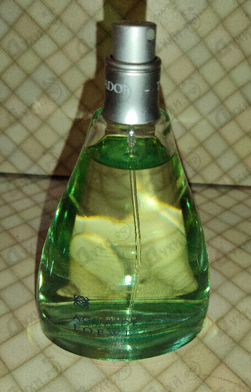 Отзыв Loewe Agua De Loewe Mediterraneo Духи Agua De Loewe Mediterraneo от Loewe