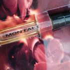 Отзывы Montale Attar