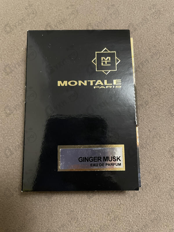 Купить Ginger Musk от Montale