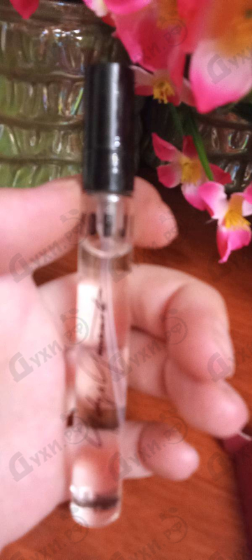 Купить Yohji Yamamoto Yohji Essential