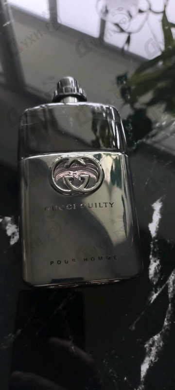 Купить Guilty от Gucci