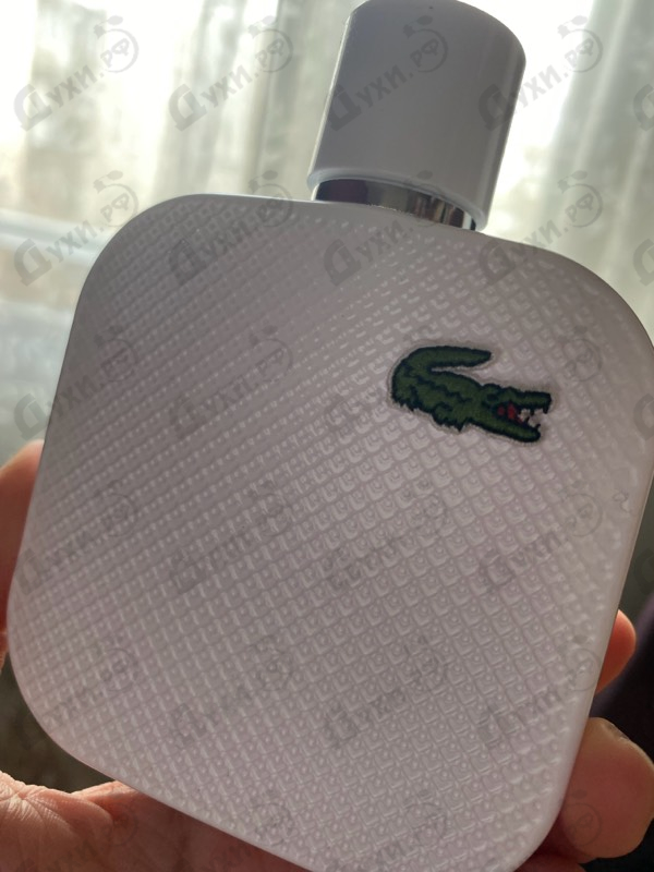 Купить L.12.12 Blanc от Lacoste