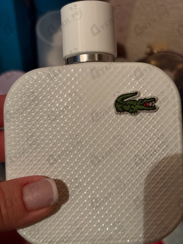 Купить L.12.12 Blanc от Lacoste