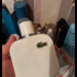 Купить Lacoste L.12.12 Blanc