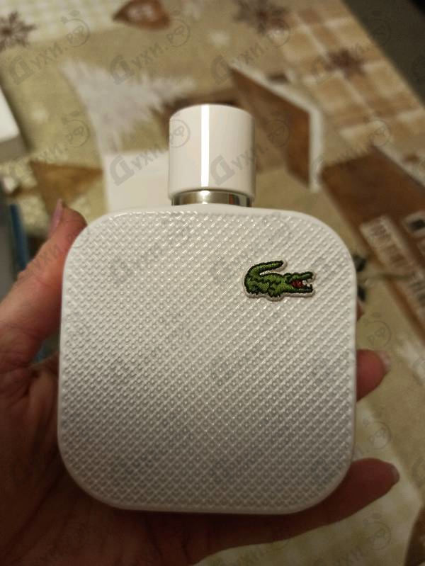 Купить Lacoste L.12.12 Blanc