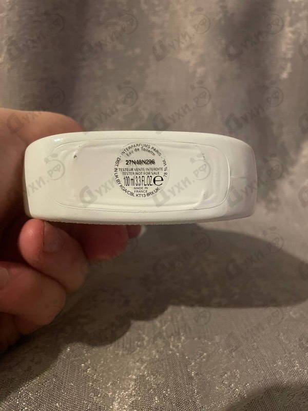 Купить L.12.12 Blanc от Lacoste