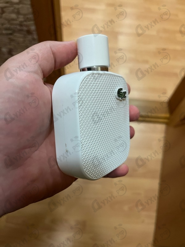 Купить L.12.12 Blanc от Lacoste