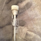 Отзывы Lacoste L.12.12 Blanc