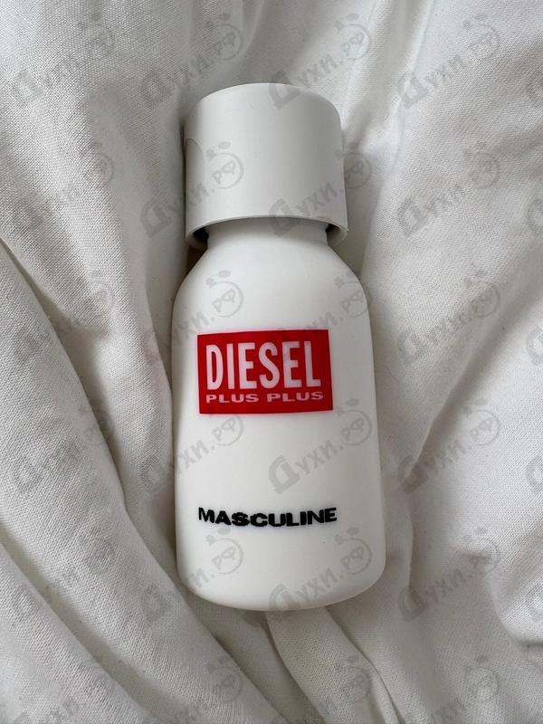 Отзыв Diesel Plus Plus