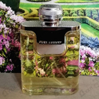 Отзыв Jaguar Prestige