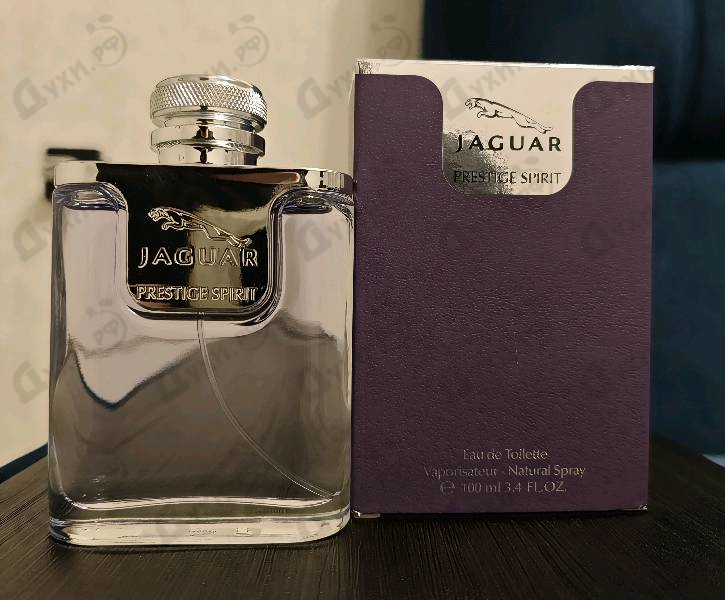 Купить Jaguar Prestige Spirit