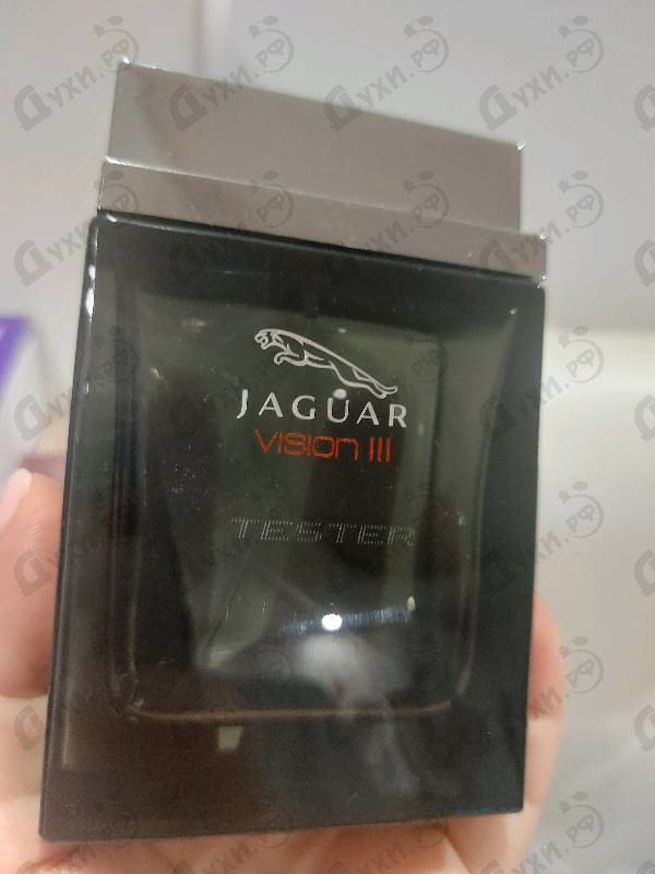Купить Jaguar Vision